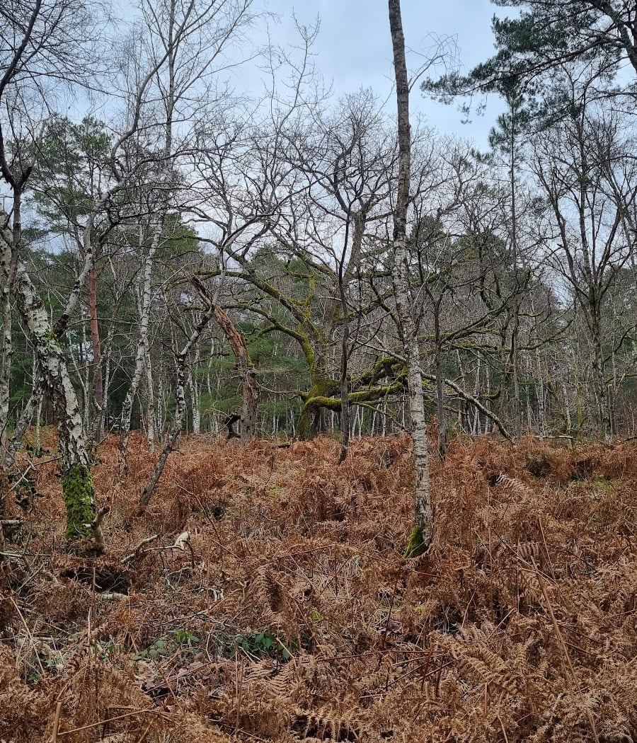 Gorge de Claire Bois 3